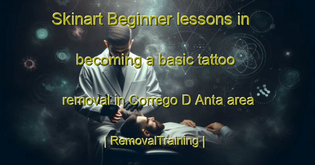 Skinart Beginner lessons in becoming a basic tattoo removal in Corrego D Anta area | RemovalTraining | RemovalClasses | SkinartTraining-Brazil